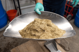 ultra high performance concrete